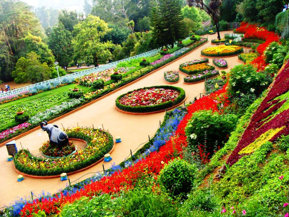 Ooty gallery photo 1